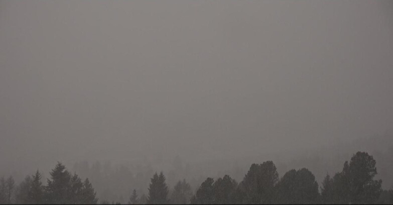 Webcam Bellamonte-Alpe Lusia - Pista direttissima Le Cune