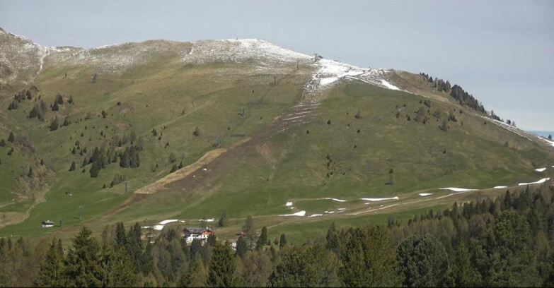 Webcam Bellamonte-Alpe Lusia - Pista direttissima Le Cune