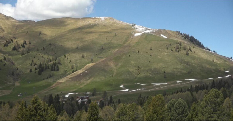 Webcam Bellamonte-Alpe Lusia - Pista direttissima Le Cune