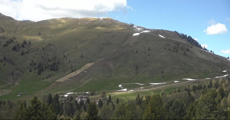 Webcam Bellamonte-Alpe Lusia - Pista direttissima Le Cune