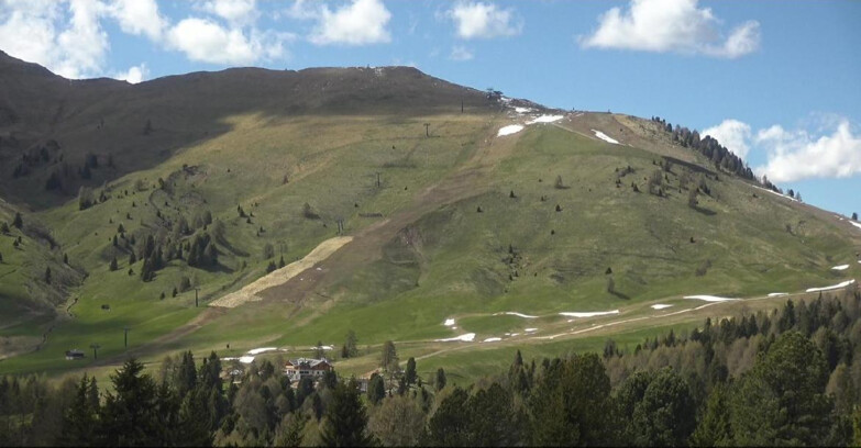 Webcam Bellamonte-Alpe Lusia - Pista direttissima Le Cune