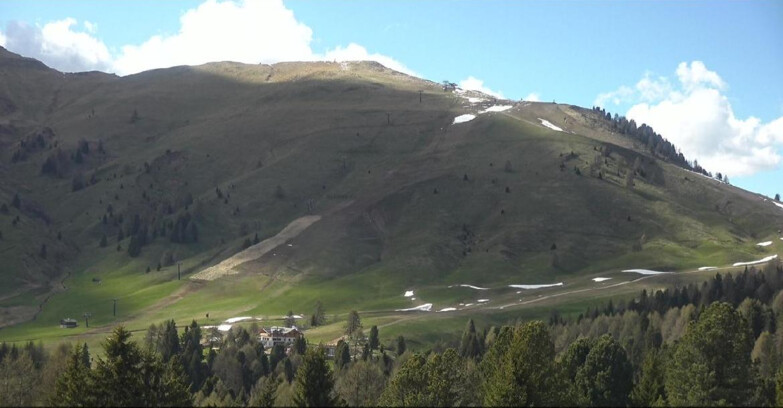 Webcam Bellamonte-Alpe Lusia - Pista direttissima Le Cune
