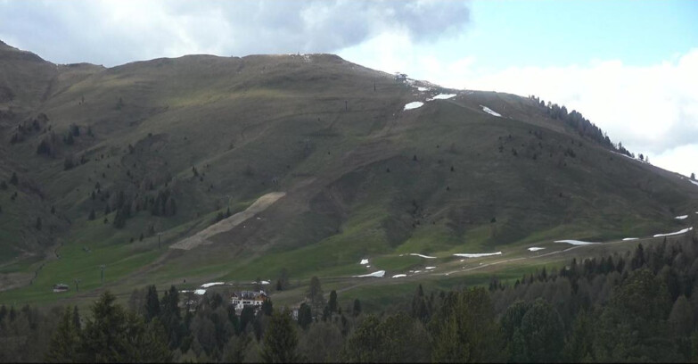 Webcam Bellamonte-Alpe Lusia - Pista direttissima Le Cune