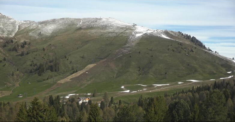 Webcam Bellamonte-Alpe Lusia - Pista direttissima Le Cune