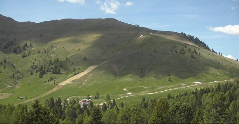 Webcam Bellamonte-Alpe Lusia  - Pista direttissima Le Cune