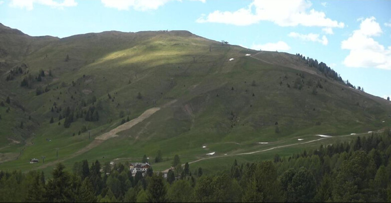 Webcam Bellamonte-Alpe Lusia  - Pista direttissima Le Cune