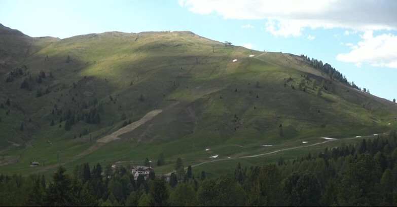 Webcam Bellamonte-Alpe Lusia  - Pista direttissima Le Cune