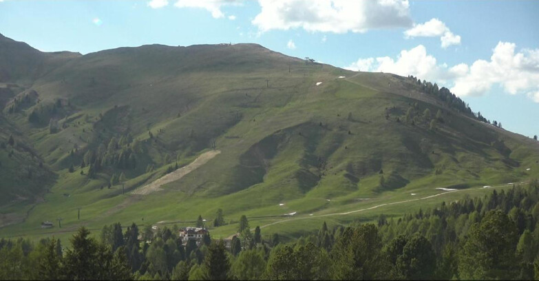 Webcam Bellamonte-Alpe Lusia  - Pista direttissima Le Cune