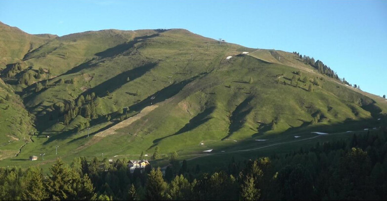 Webcam Bellamonte-Alpe Lusia  - Pista direttissima Le Cune