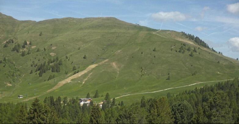 Webcam Bellamonte-Alpe Lusia - Pista direttissima Le Cune