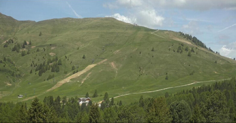 Webcam Bellamonte-Alpe Lusia - Pista direttissima Le Cune