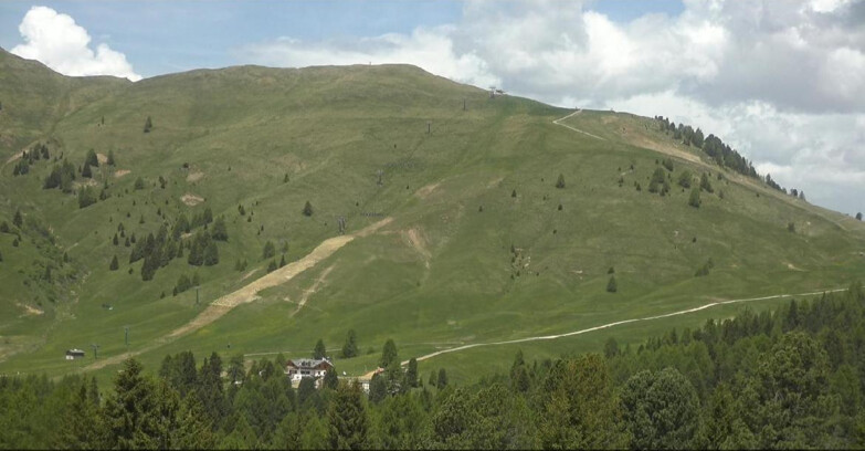 Webcam Bellamonte-Alpe Lusia - Pista direttissima Le Cune