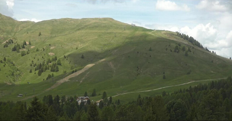 Webcam Bellamonte-Alpe Lusia - Pista direttissima Le Cune