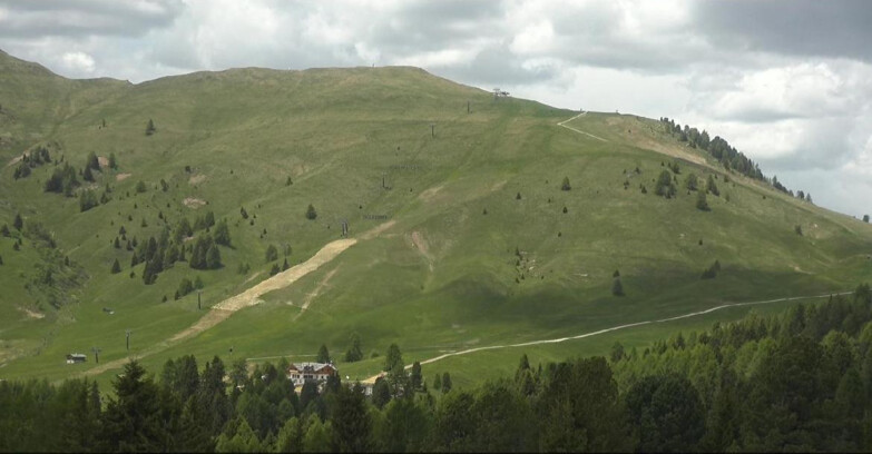 Webcam Bellamonte-Alpe Lusia - Pista direttissima Le Cune