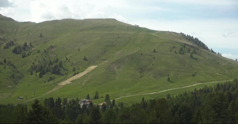 Webcam Bellamonte-Alpe Lusia - Pista direttissima Le Cune