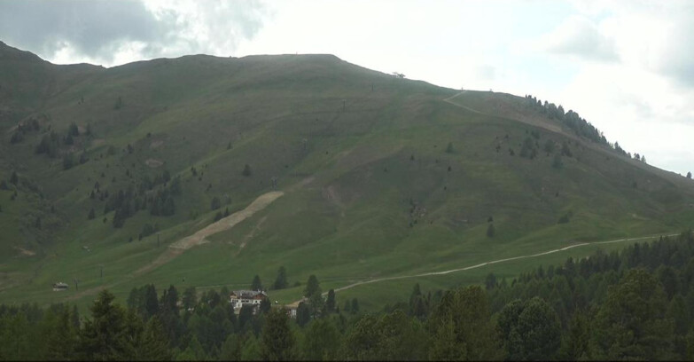 Webcam Bellamonte-Alpe Lusia - Pista direttissima Le Cune