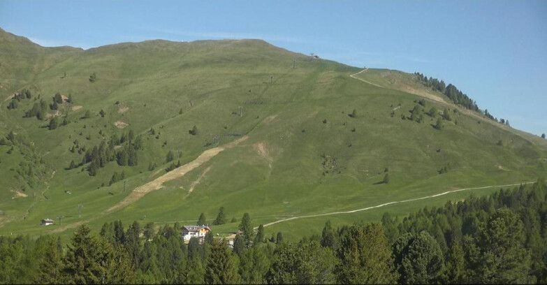 Webcam Bellamonte-Alpe Lusia - Pista direttissima Le Cune