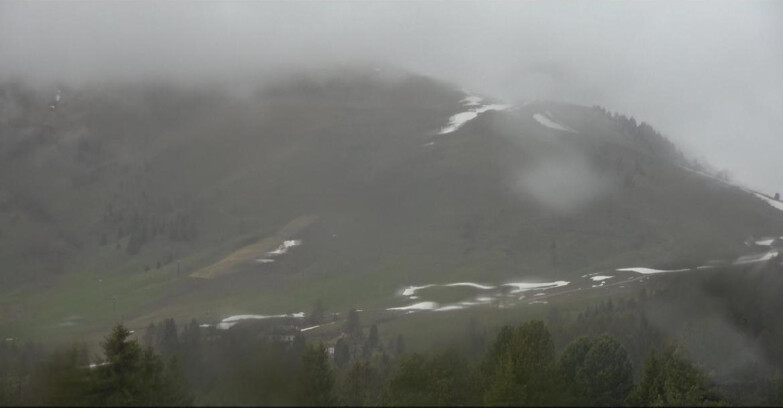 Webcam Bellamonte-Alpe Lusia  - Pista direttissima Le Cune