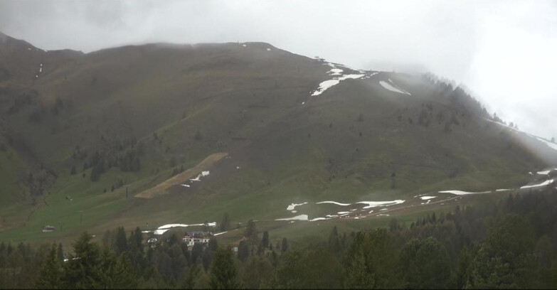 Webcam Bellamonte-Alpe Lusia  - Pista direttissima Le Cune