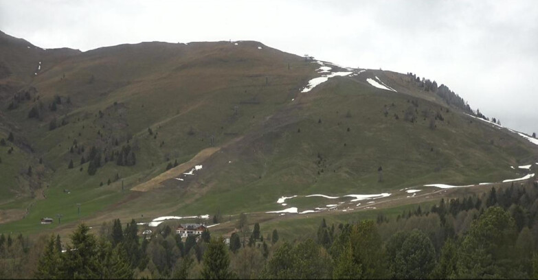 Webcam Bellamonte-Alpe Lusia  - Pista direttissima Le Cune