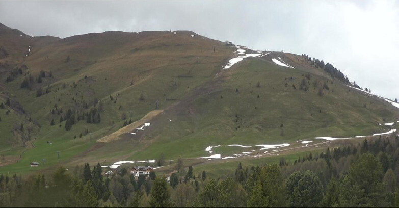 Webcam Bellamonte-Alpe Lusia  - Pista direttissima Le Cune