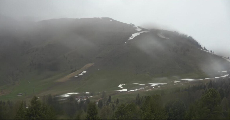 Webcam Bellamonte-Alpe Lusia  - Pista direttissima Le Cune