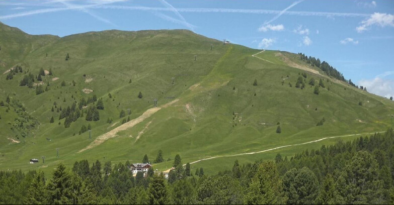 Webcam Bellamonte-Alpe Lusia  - Pista direttissima Le Cune