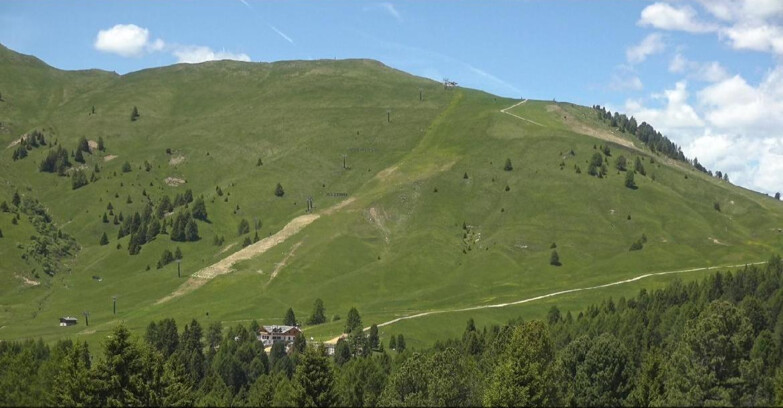 Webcam Bellamonte-Alpe Lusia  - Pista direttissima Le Cune