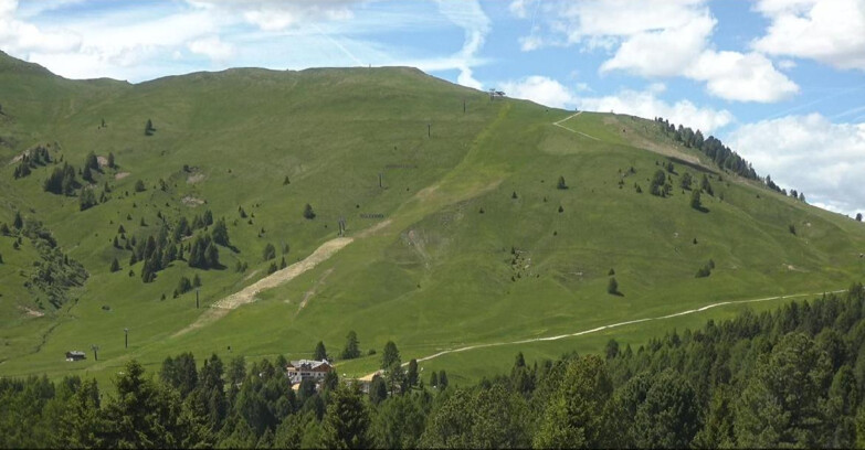 Webcam Bellamonte-Alpe Lusia  - Pista direttissima Le Cune
