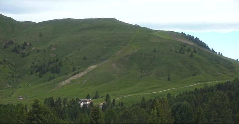 Webcam Bellamonte-Alpe Lusia - Pista direttissima Le Cune