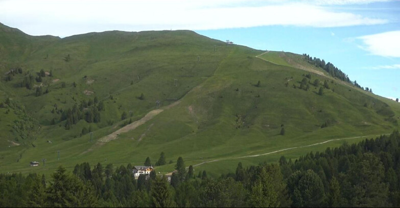 Webcam Bellamonte-Alpe Lusia - Pista direttissima Le Cune