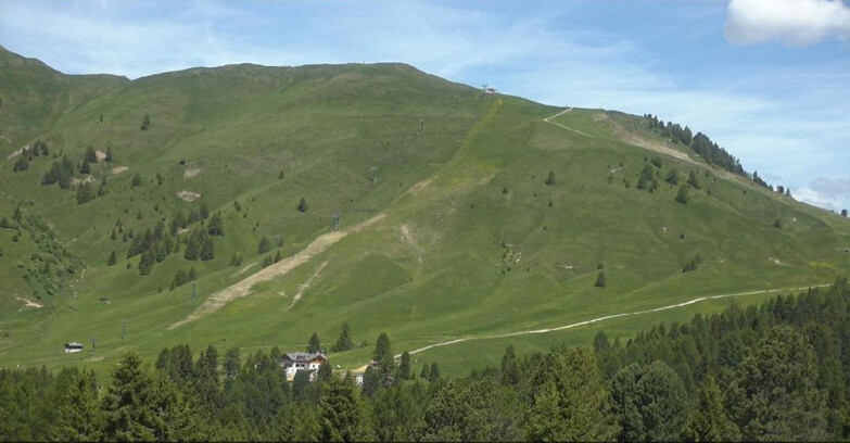 Webcam Bellamonte-Alpe Lusia  - Pista direttissima Le Cune