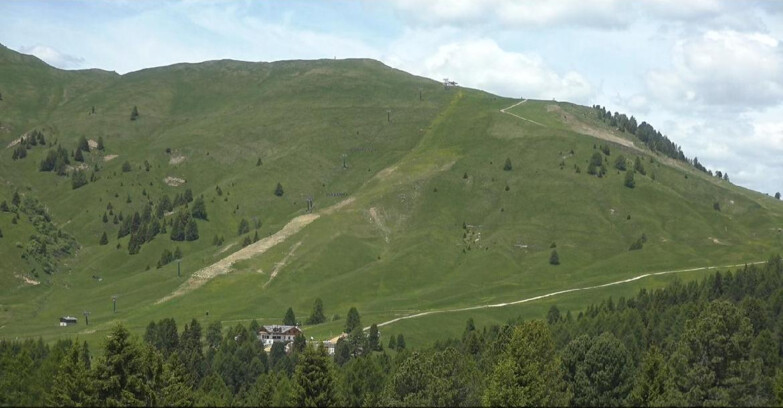 Webcam Bellamonte-Alpe Lusia  - Pista direttissima Le Cune