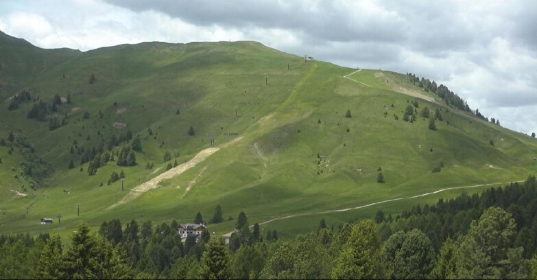 Webcam Bellamonte-Alpe Lusia  - Pista direttissima Le Cune