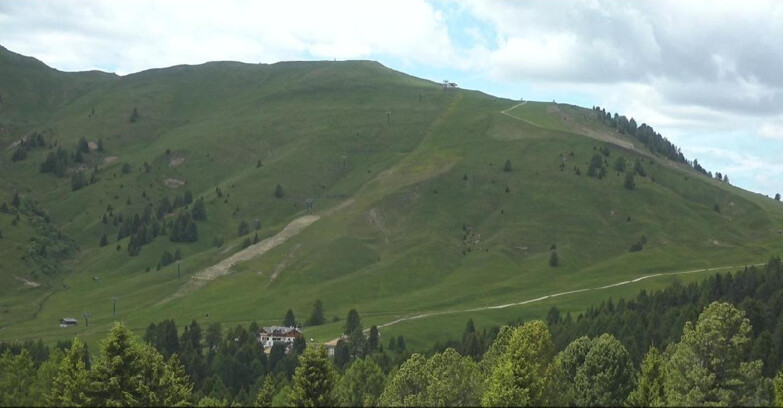 Webcam Bellamonte-Alpe Lusia  - Pista direttissima Le Cune