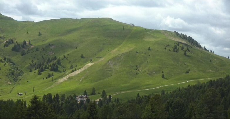 Webcam Bellamonte-Alpe Lusia  - Pista direttissima Le Cune