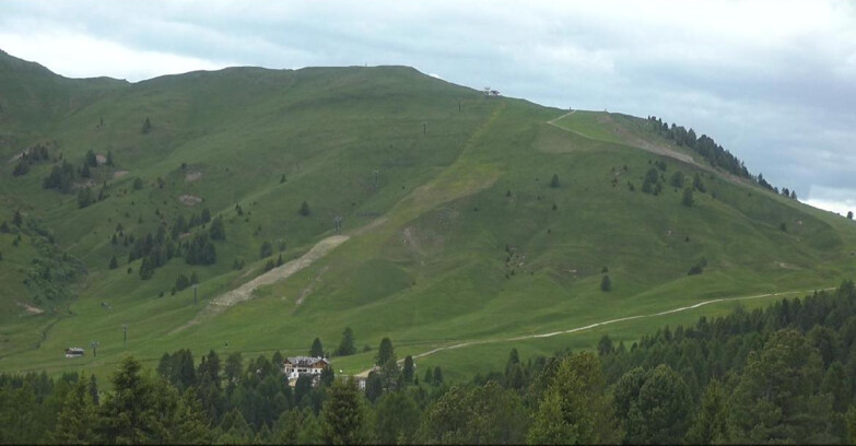 Webcam Bellamonte-Alpe Lusia  - Pista direttissima Le Cune