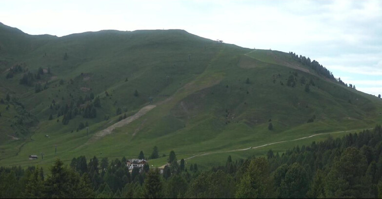 Webcam Bellamonte-Alpe Lusia  - Pista direttissima Le Cune