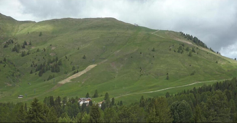 Webcam Bellamonte-Alpe Lusia - Pista direttissima Le Cune