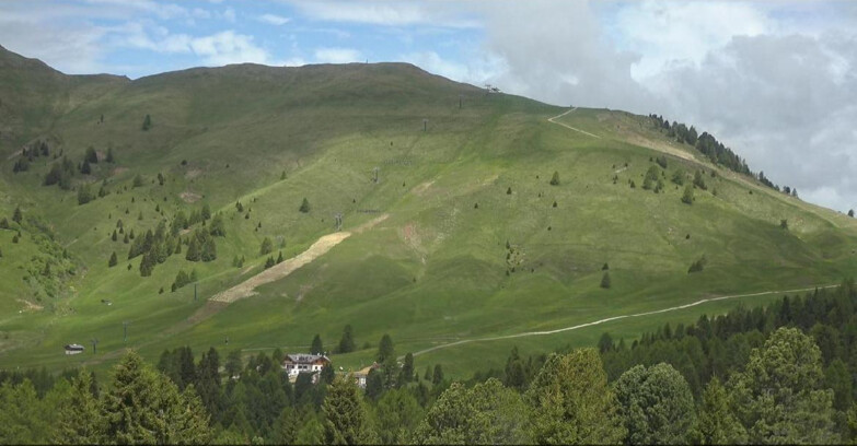Webcam Bellamonte-Alpe Lusia - Pista direttissima Le Cune