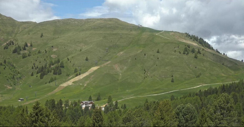 Webcam Bellamonte-Alpe Lusia - Pista direttissima Le Cune