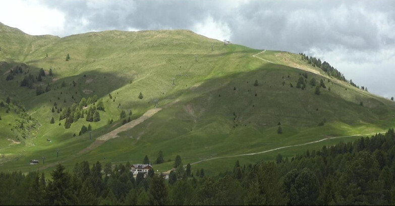 Webcam Bellamonte-Alpe Lusia - Pista direttissima Le Cune