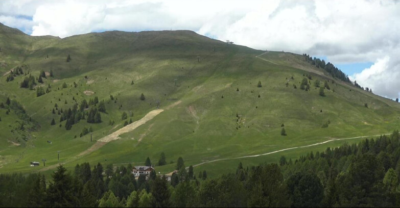 Webcam Bellamonte-Alpe Lusia - Pista direttissima Le Cune
