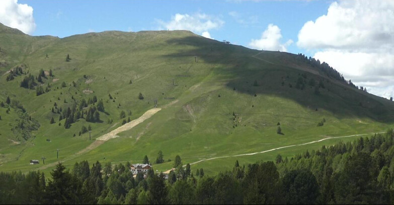 Webcam Bellamonte-Alpe Lusia - Pista direttissima Le Cune