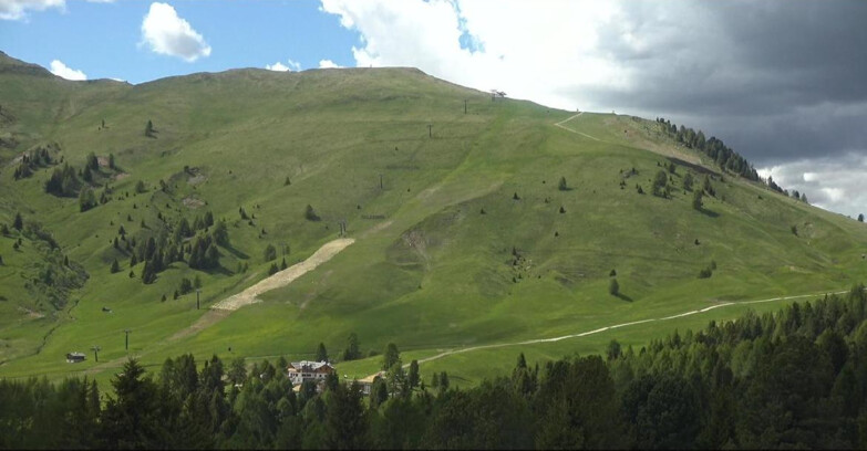 Webcam Bellamonte-Alpe Lusia - Pista direttissima Le Cune