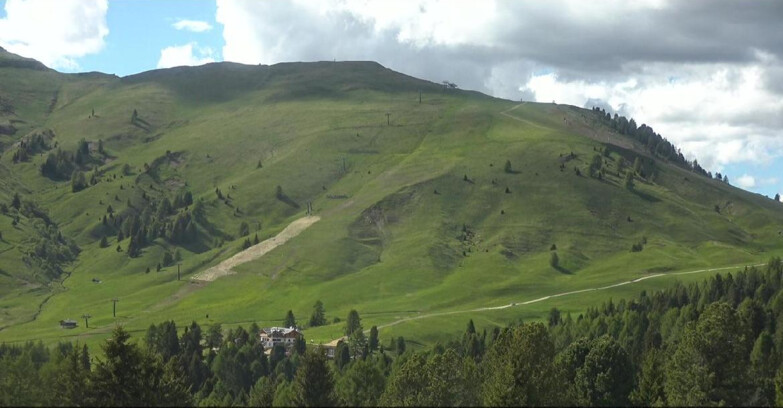 Webcam Bellamonte-Alpe Lusia - Pista direttissima Le Cune