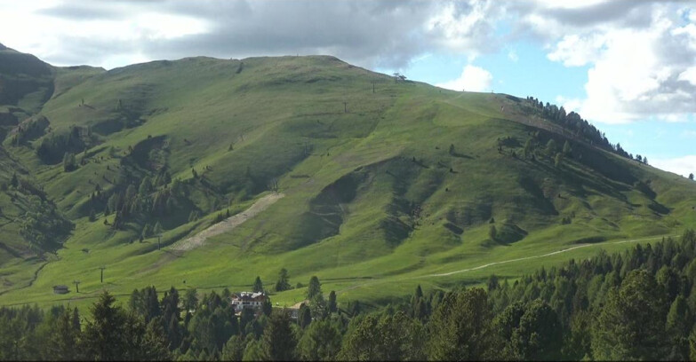 Webcam Bellamonte-Alpe Lusia - Pista direttissima Le Cune