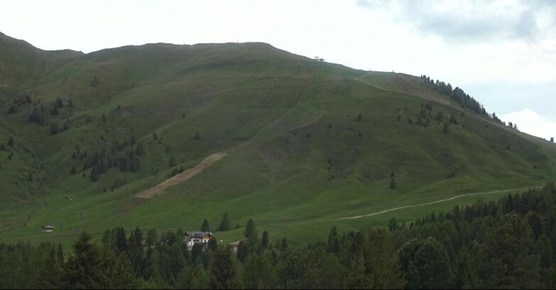Webcam Bellamonte-Alpe Lusia - Pista direttissima Le Cune