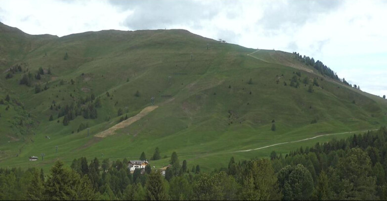 Webcam Bellamonte-Alpe Lusia - Pista direttissima Le Cune