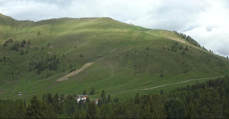 Webcam Bellamonte-Alpe Lusia - Pista direttissima Le Cune